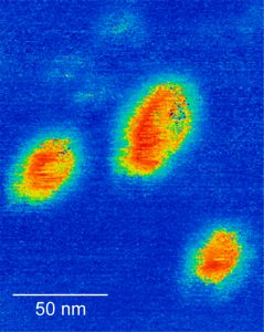 ferroelectric image