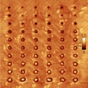 ferroelectric domains