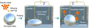 Experimental set up