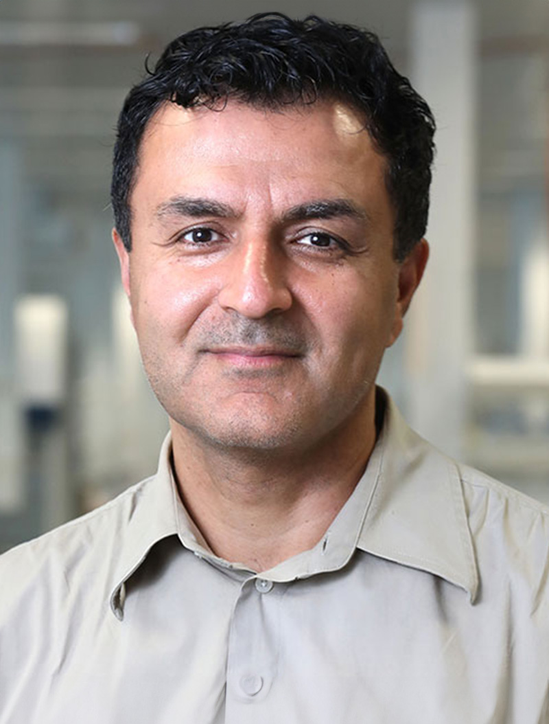 Prof. Kourosh Kalantar-Zadeh